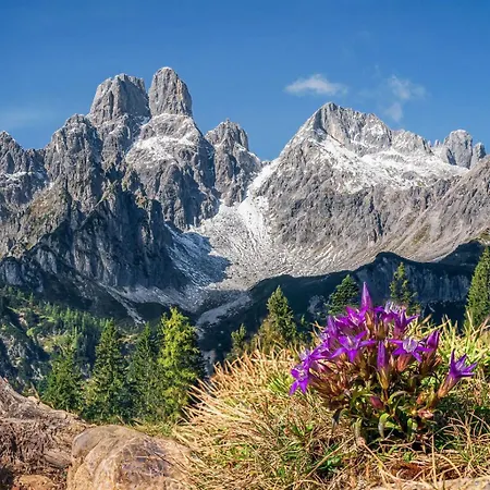 Alpenblick מלון פילצמוס