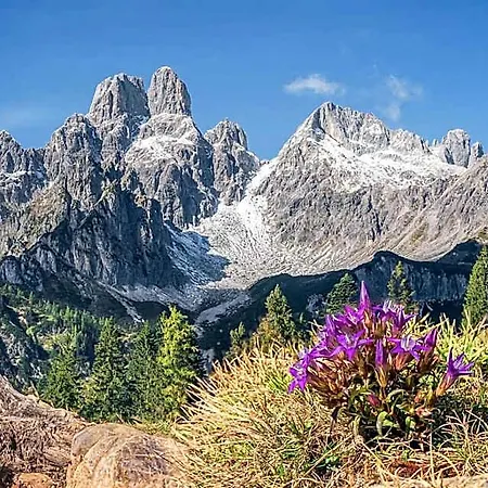 Alpenblick 3* Filzmoos