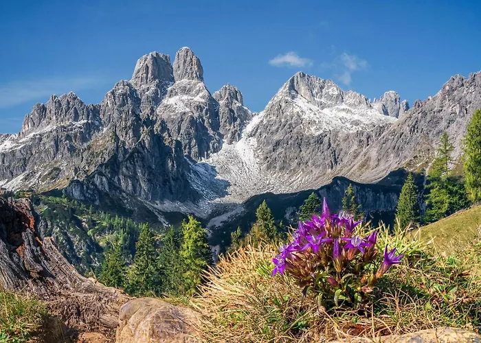 Alpenblick Ξενοδοχείο Filzmoos